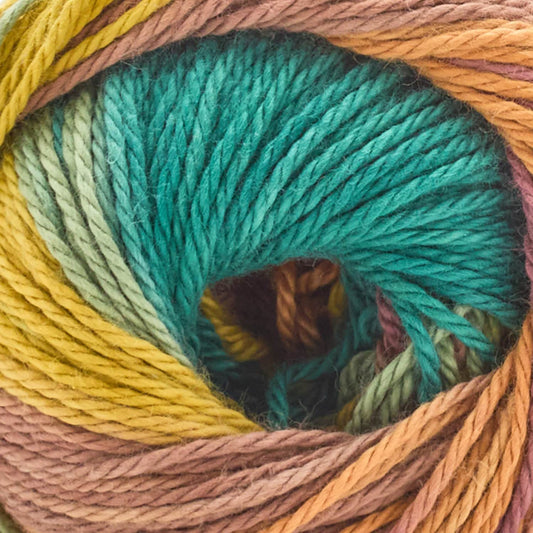 Premier Yarns Hipster Cotton Yarn - Fall Vibes