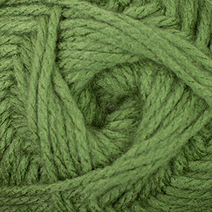 Cactus - Anthem image 0