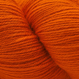 Pumpkin - 5646 - Heritage