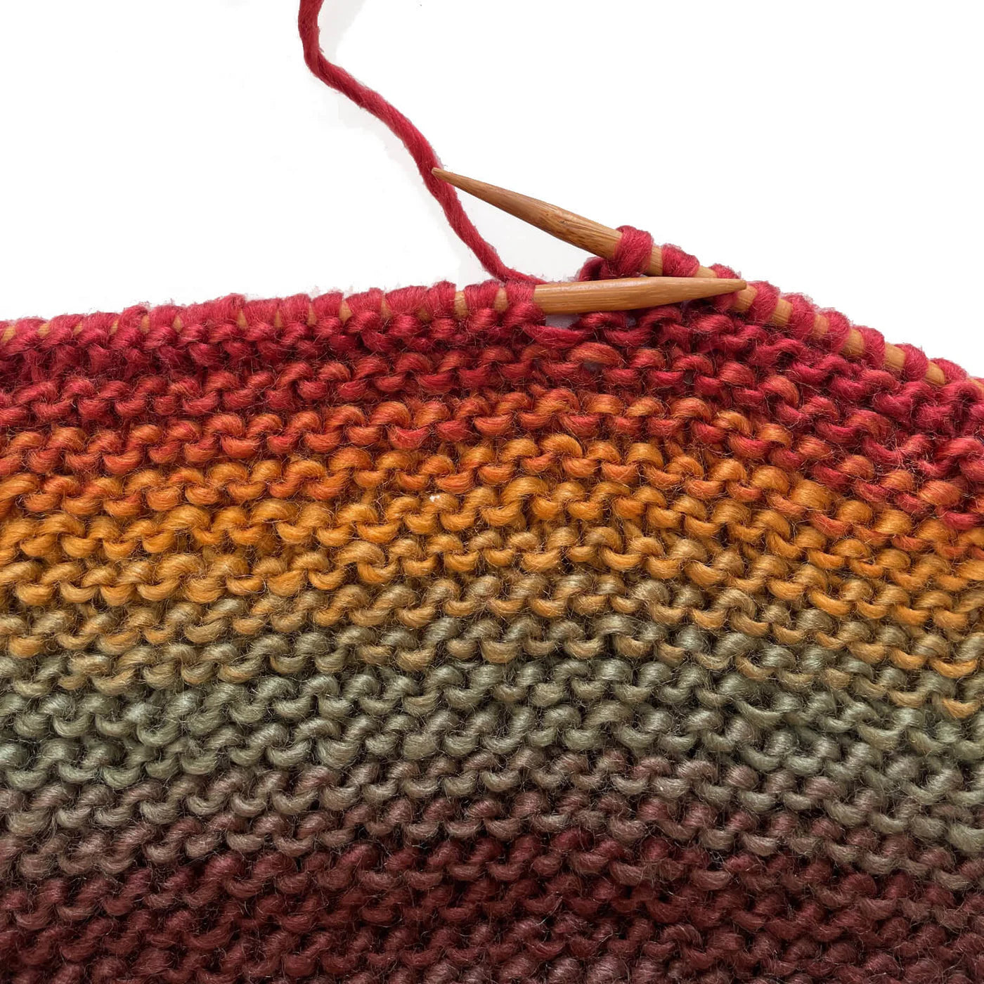 Desert Spring - Landscapes