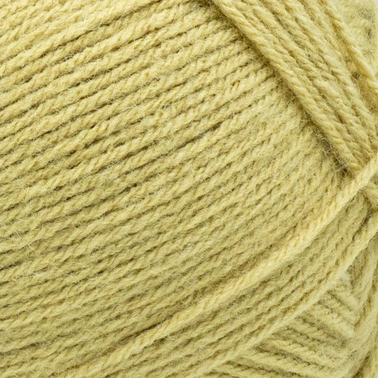 Straw - Lion Brand - Pound of Love