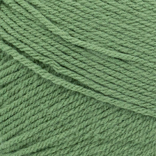 Olive - Lion Brand - Pound of Love