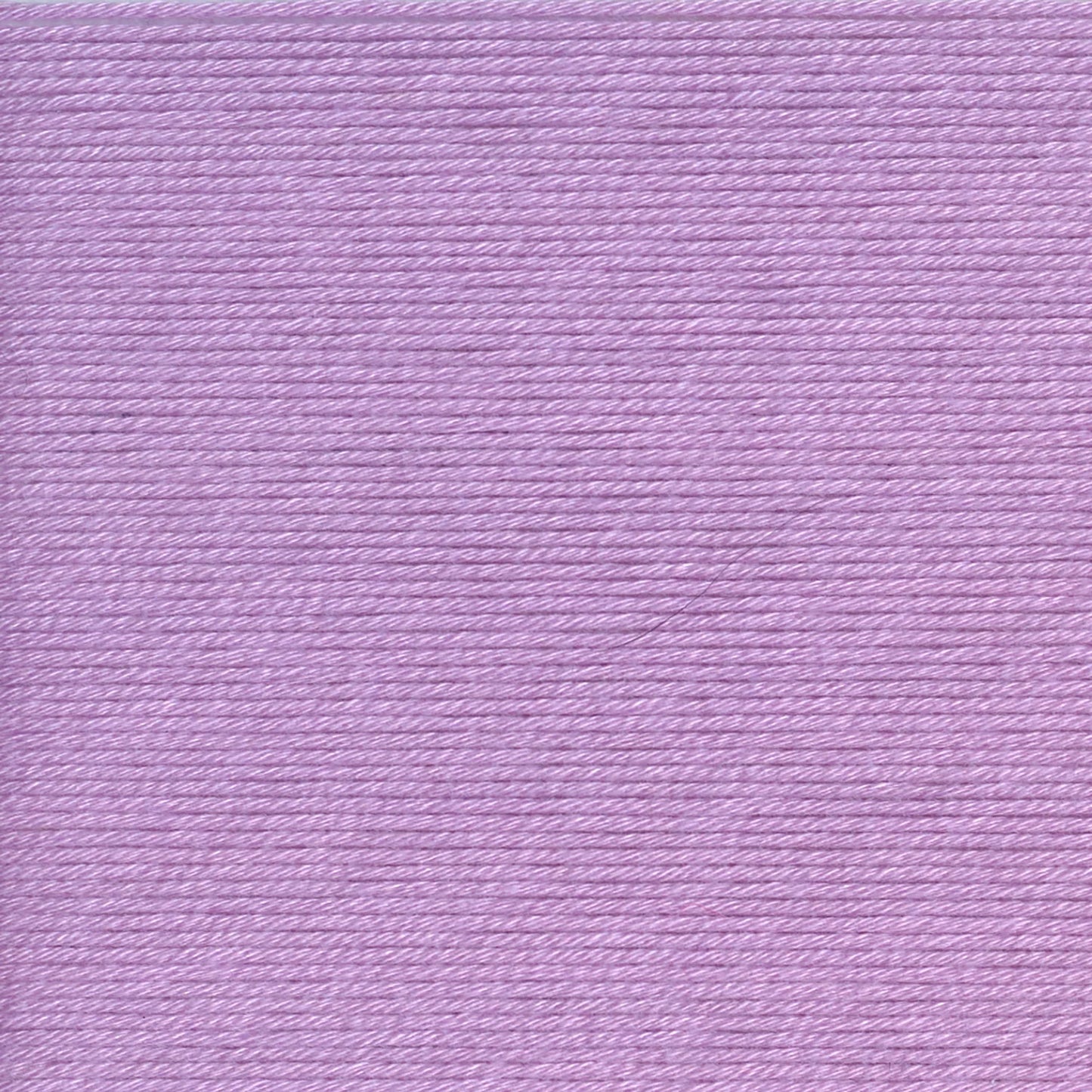 Lilac - Coboo