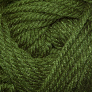 Cactus - 36 - Cherub Chunky