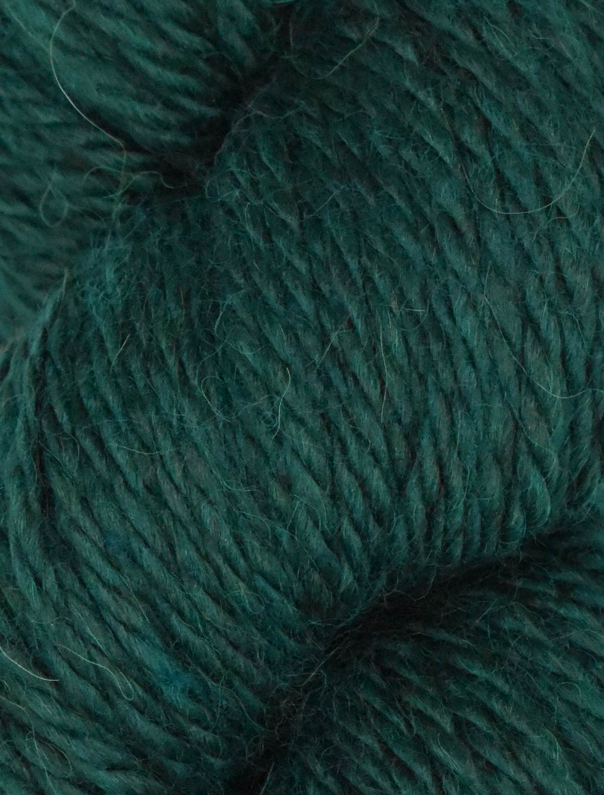 Evergreen #567 - Cozy Alpaca Chunky - Ella Rae