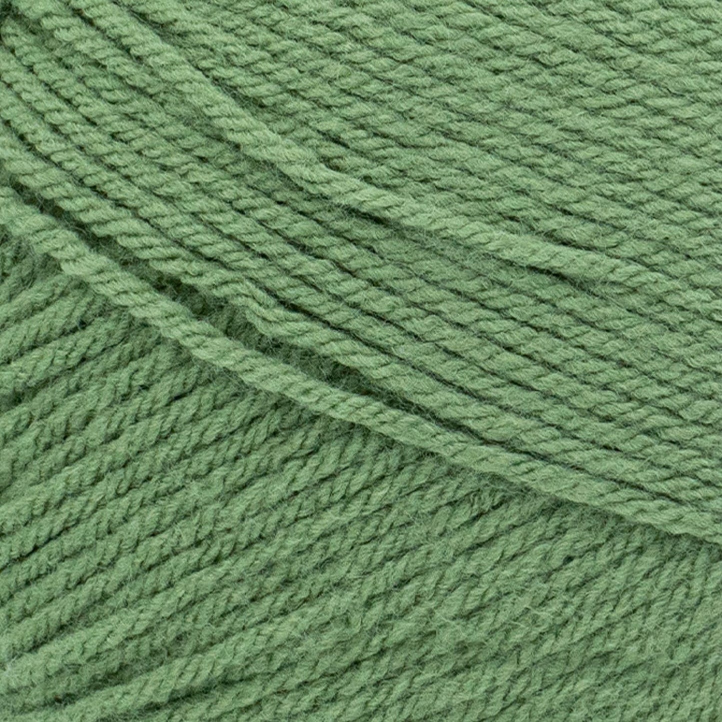 Olive - Lion Brand - Pound of Love