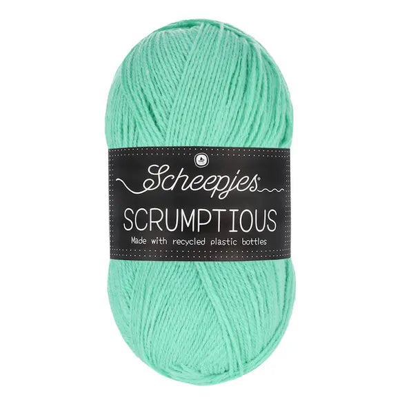340 Mint Whoopie Pie - Scheepjes Scrumptious image 0