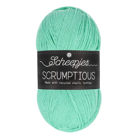 340 Mint Whoopie Pie - Scheepjes Scrumptious image 0