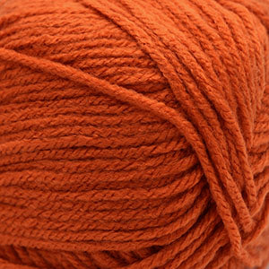 Harvest Pumpkin - Anthem image 0